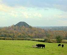 Black conical hill showing above trees and fields