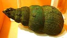 Bronze ceremonial vessel in form of a snail shell, 9th century, Igbo-Ukwu, Nigeria.JPG
