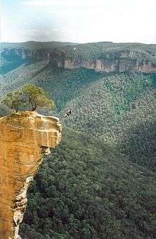  Dr. Michael Wolff Cliff BASE Jump, Blue Mountains, Australia, 2001.