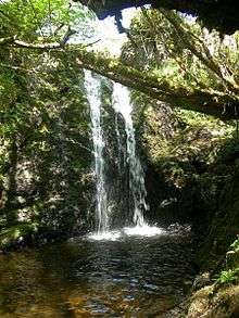 Drunmore Linn waterfall, behind trees