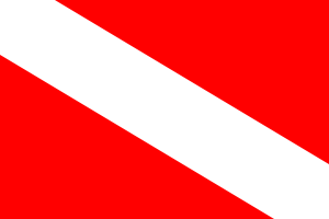 Unofficial flag of Barotseland