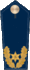 Blue epaulette with 1 golden star and oak leaves