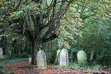Gravestones in St Pancras and Islington Cemetery