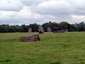 Large stones, some lying and some standing on end in grassy area