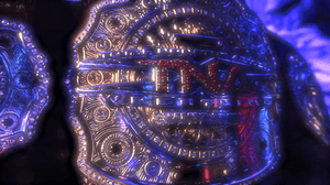 A red and gold championship belt with a red leather strap