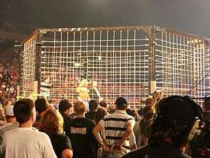 A steel cage in an arena surrounded by on-lookers