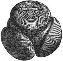 A black and white drawing of a complex structure resembling a sphere with several elaborately decorated part-spheres stuck to its surface. The decorations include sworls, circular shapes and wavy lines.